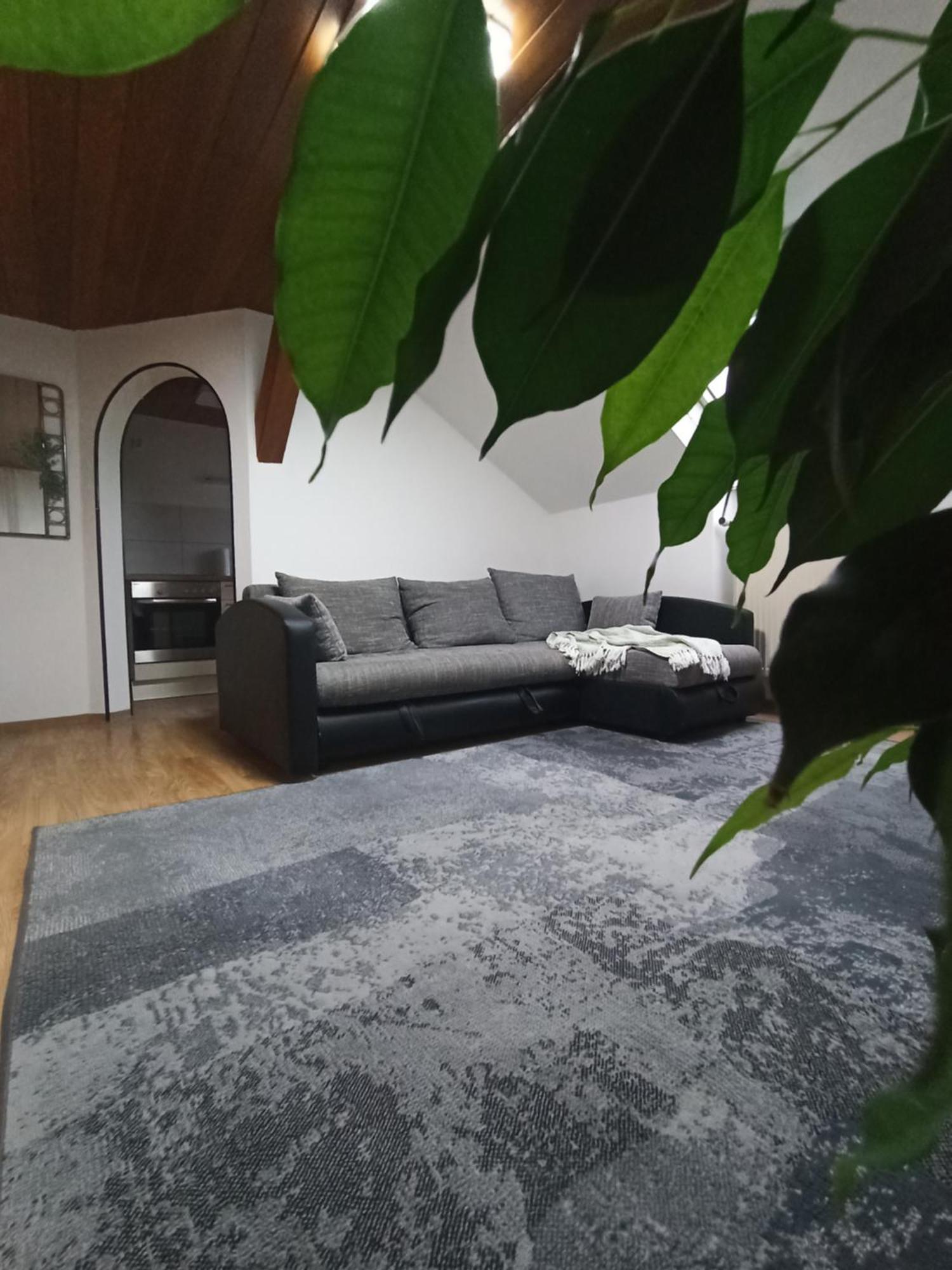 Lipa Lägenhet Bernried Exteriör bild